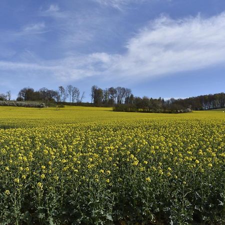 Ferienwohnung Guese Detmold Esterno foto