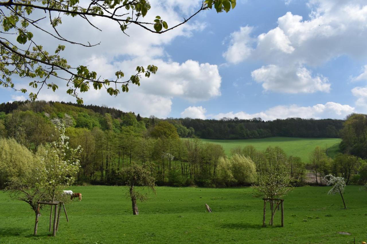 Ferienwohnung Guese Detmold Esterno foto