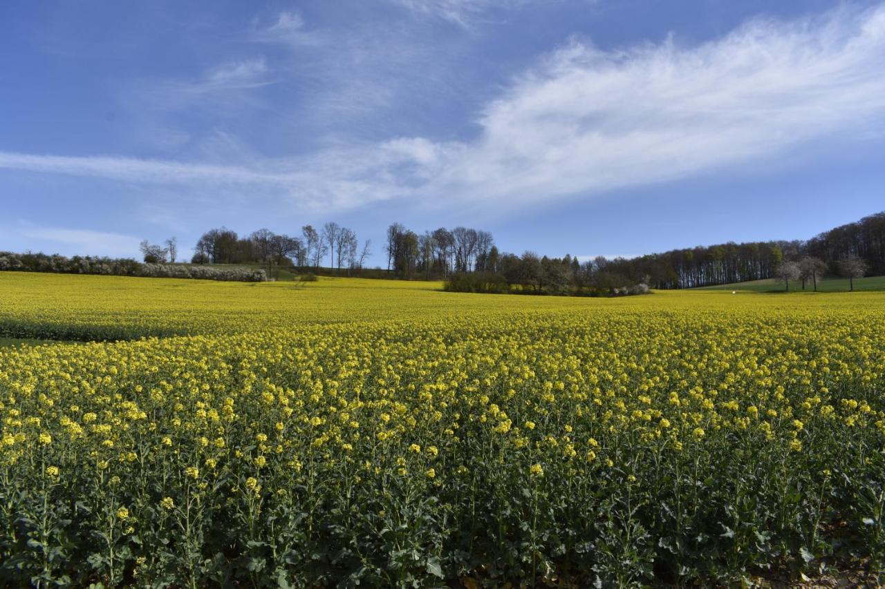 Ferienwohnung Guese Detmold Esterno foto