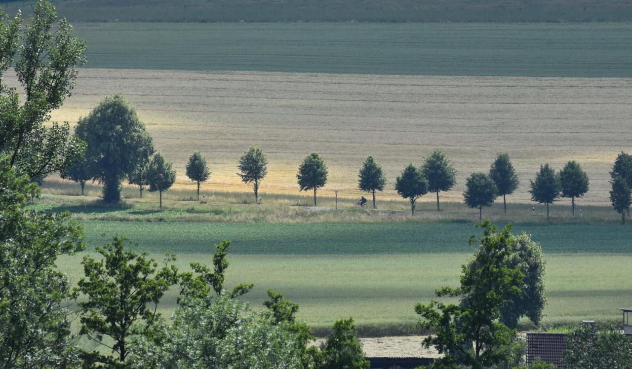 Ferienwohnung Guese Detmold Esterno foto